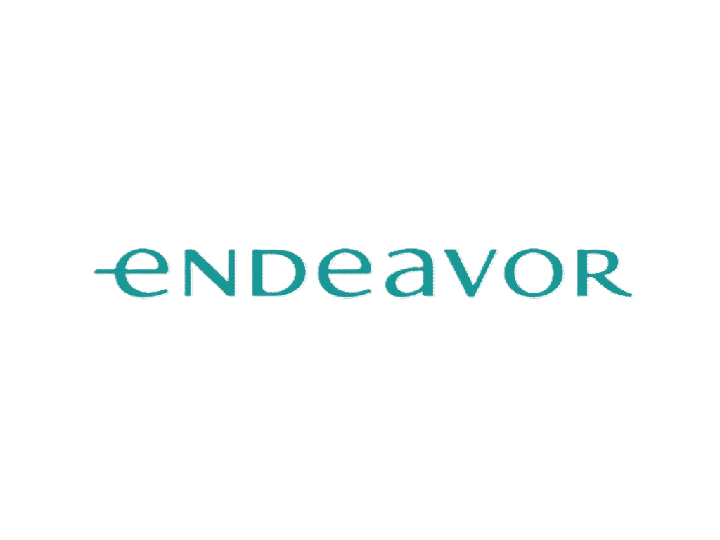 endeavor logo resizd
